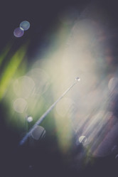 Similar image 8548076