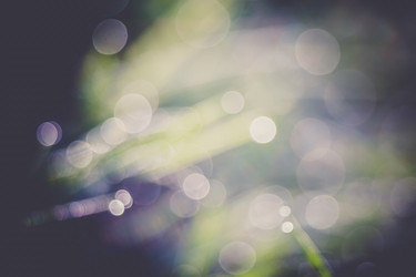 Similar image 8548077