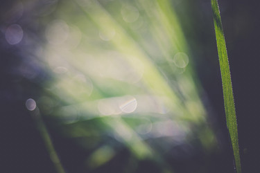 Similar image 8548078