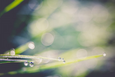 Similar image 8548079