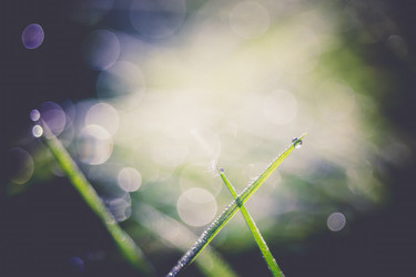 Similar image 8548086