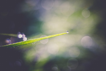 Similar image 8548087