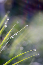 Similar image 8548088