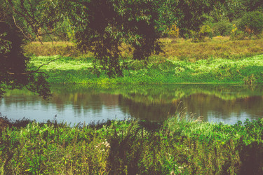 Similar image 8548102