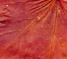 Similar image 8548116