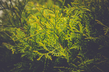 Similar image 8548145