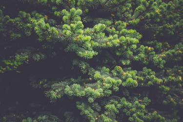 Similar image 8548146