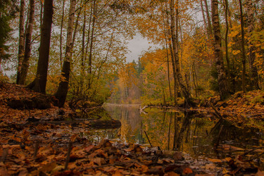 Similar image 8548151