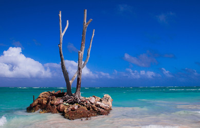 Similar image 8548152