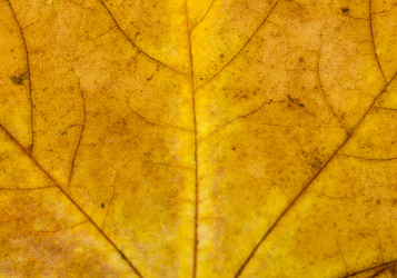 Similar image 8548382