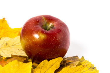 Similar image 8548383