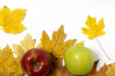 Similar image 8548384