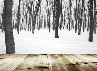 Similar image 8548385