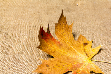 Similar image 8548387