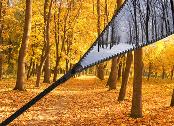 Similar image 8548390