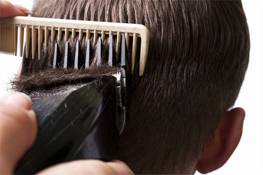 Similar image 8548393