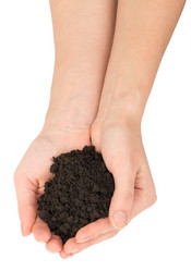 Similar image 8548421