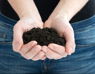 Similar image 8548424