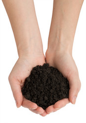 Similar image 8548431