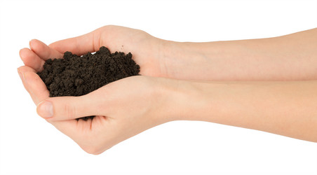 Similar image 8548433