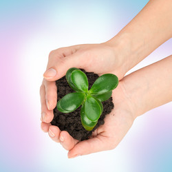 Similar image 8548463