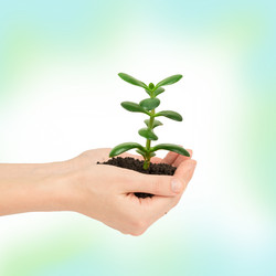 Similar image 8548464