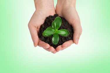 Similar image 8548465