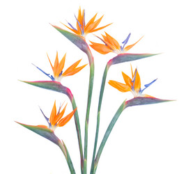 Similar image 8548555