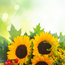 Similar image 8548556