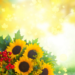 Similar image 8548557