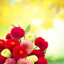 Similar image 8548558