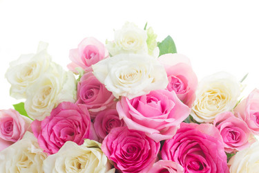 Similar image 8548565