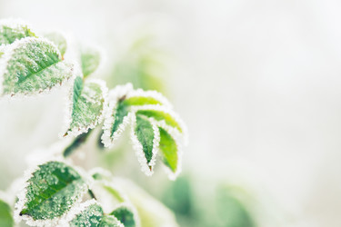 Similar image 8548572