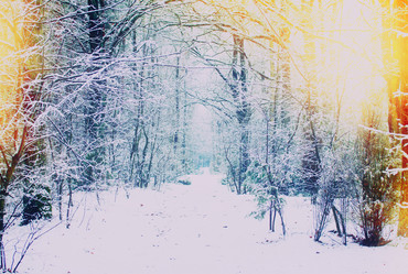 Similar image 8548575