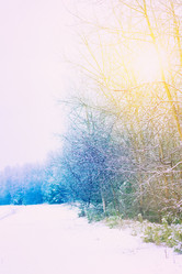 Similar image 8548576