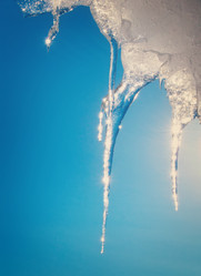 Similar image 8548580