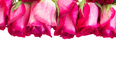 Similar image 8548582