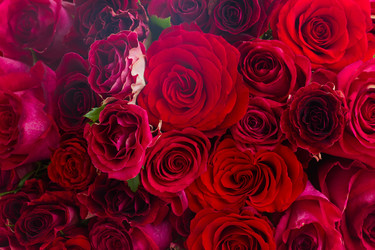 Similar image 8548587