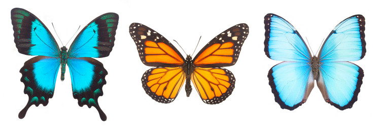 Similar image 8548602