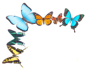 Similar image 8548605