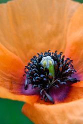 Similar image 8548609