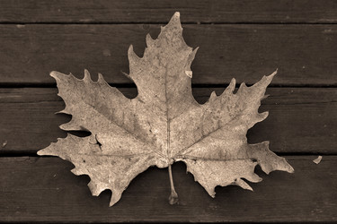 Similar image 8548614