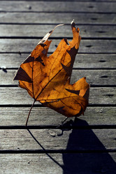 Similar image 8548615