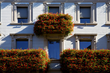 Similar image 8548634