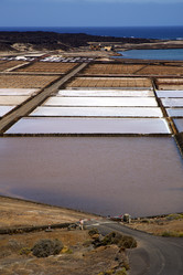 Similar image 8548636