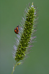 Similar image 8548637