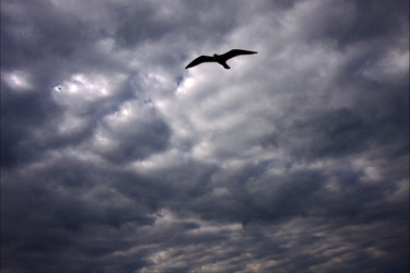 Similar image 8548640