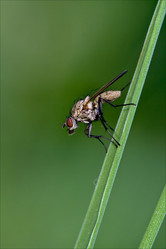 Similar image 8548656