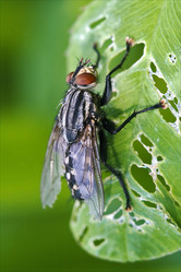 Similar image 8548659