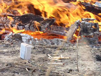 Similar image 8548705